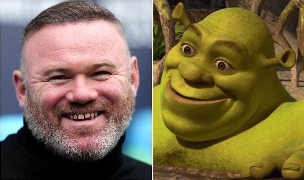 Roy Keane Shrek