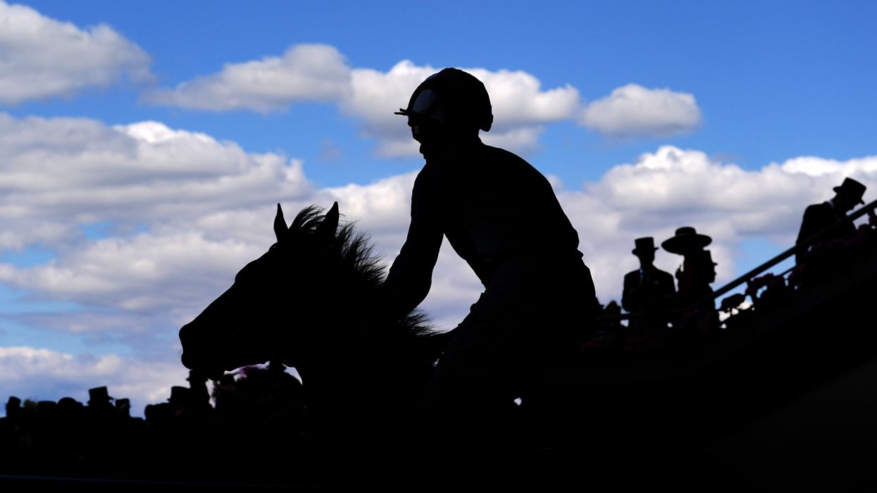 Royal ascot rider and horse