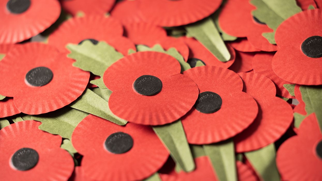 Royal British Legion plastic-free poppies in pictures