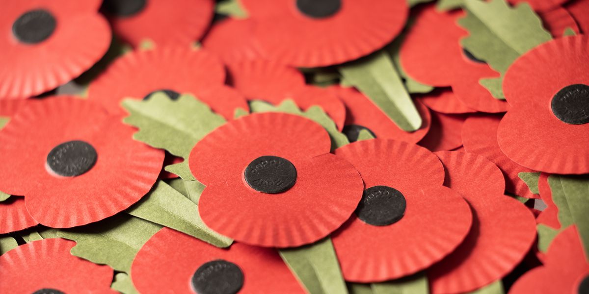 NextImg:'Royal British Legion must bin off new politically correct non-job and give money to veterans' - Philip Davies