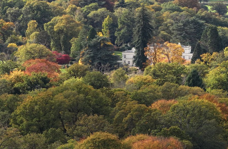 Royal Lodge aerial shot