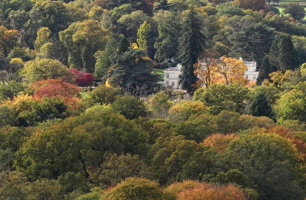 Royal Lodge aerial shot