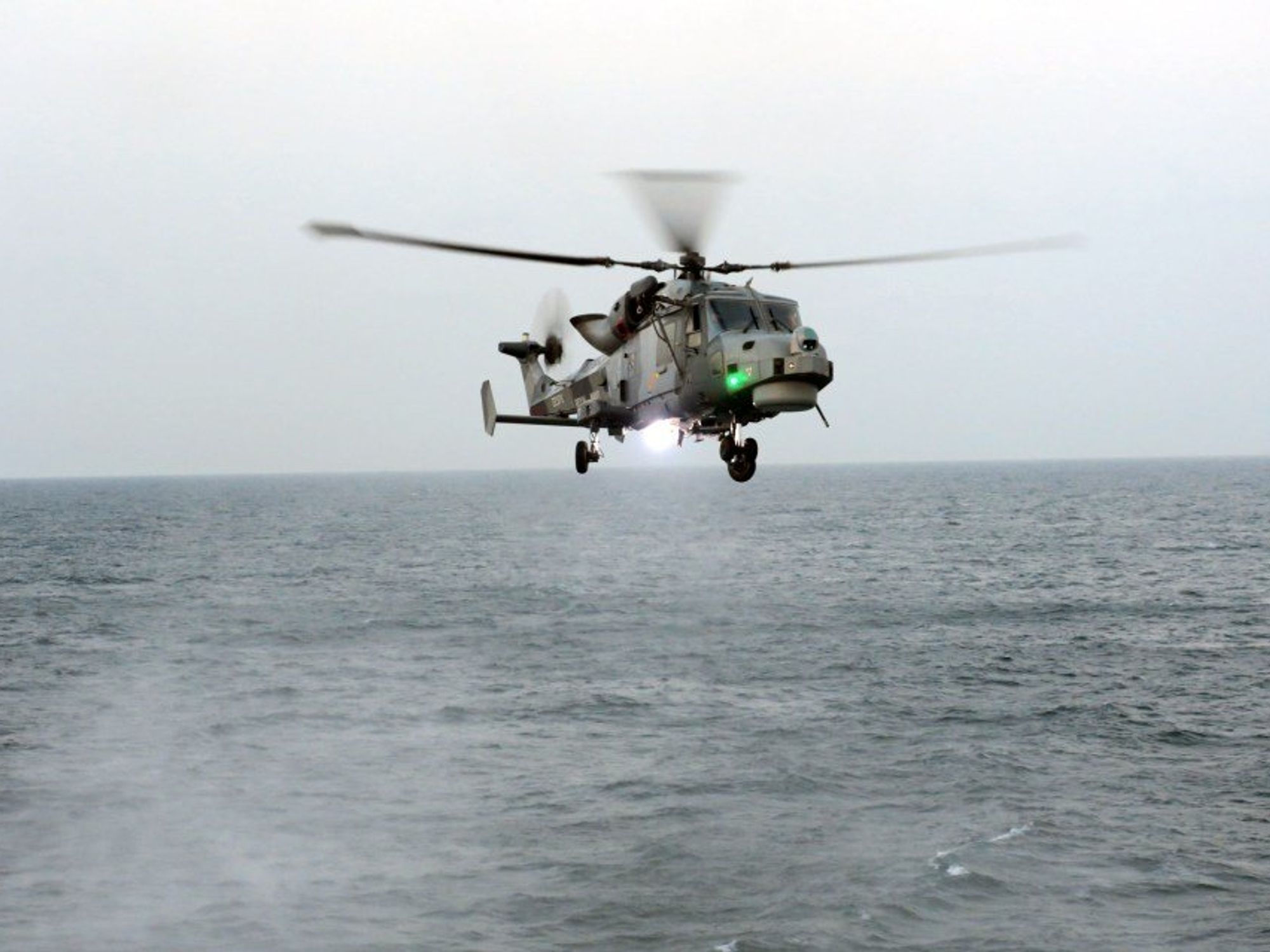 Royal Marine