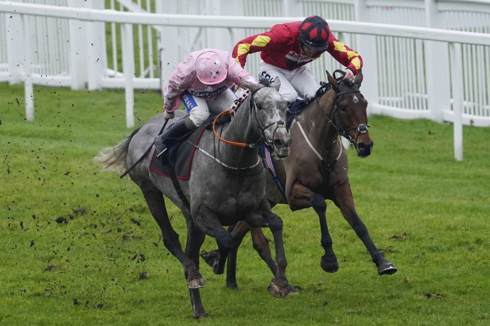 Royal Windsor Horse Show