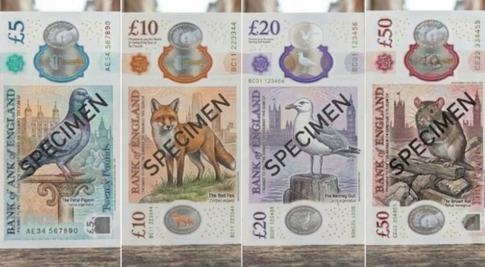 RSPCA banknotes