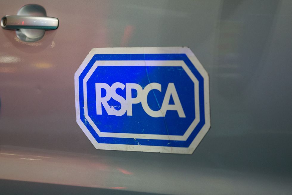 RSPCA