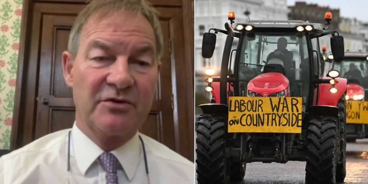 NextImg:'Breaking the backbone of Britain!' Rupert Lowe blasts 'terrible policy' from Labour as farmers fume: 'Bonkers!'