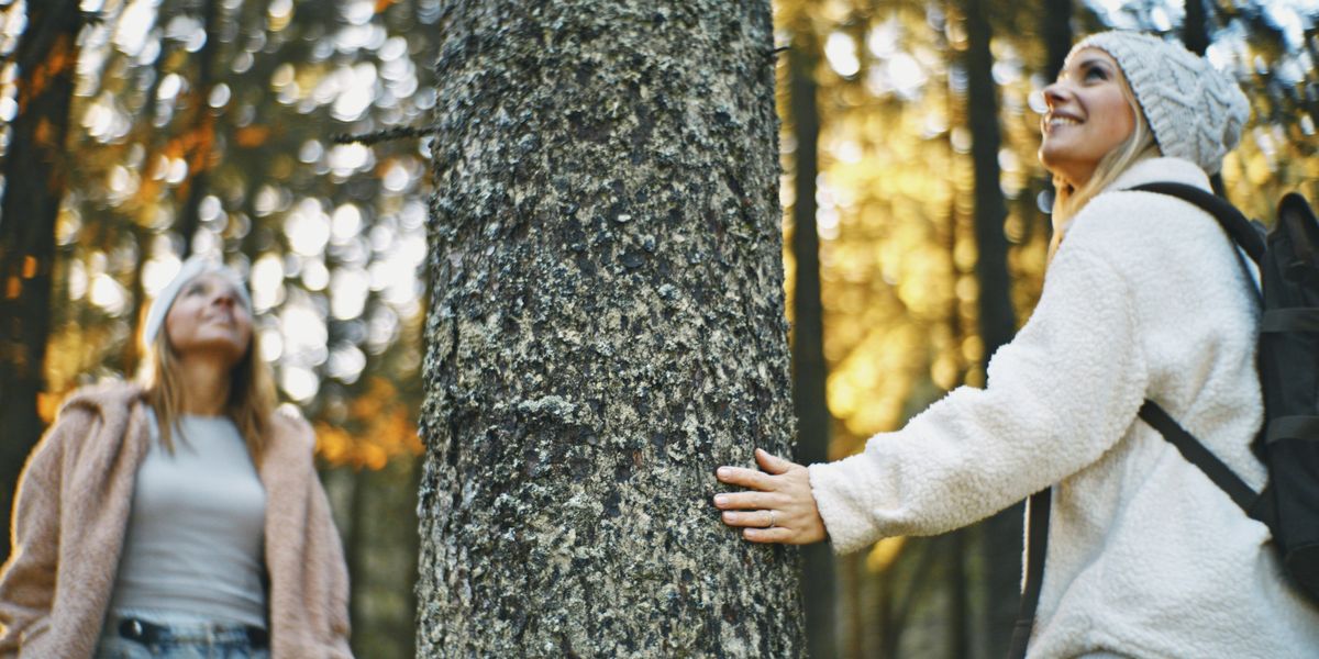 NextImg:Outrage as taxpayer's money wasted by left-wing French councils sending staff on courses to talk to trees and fish
