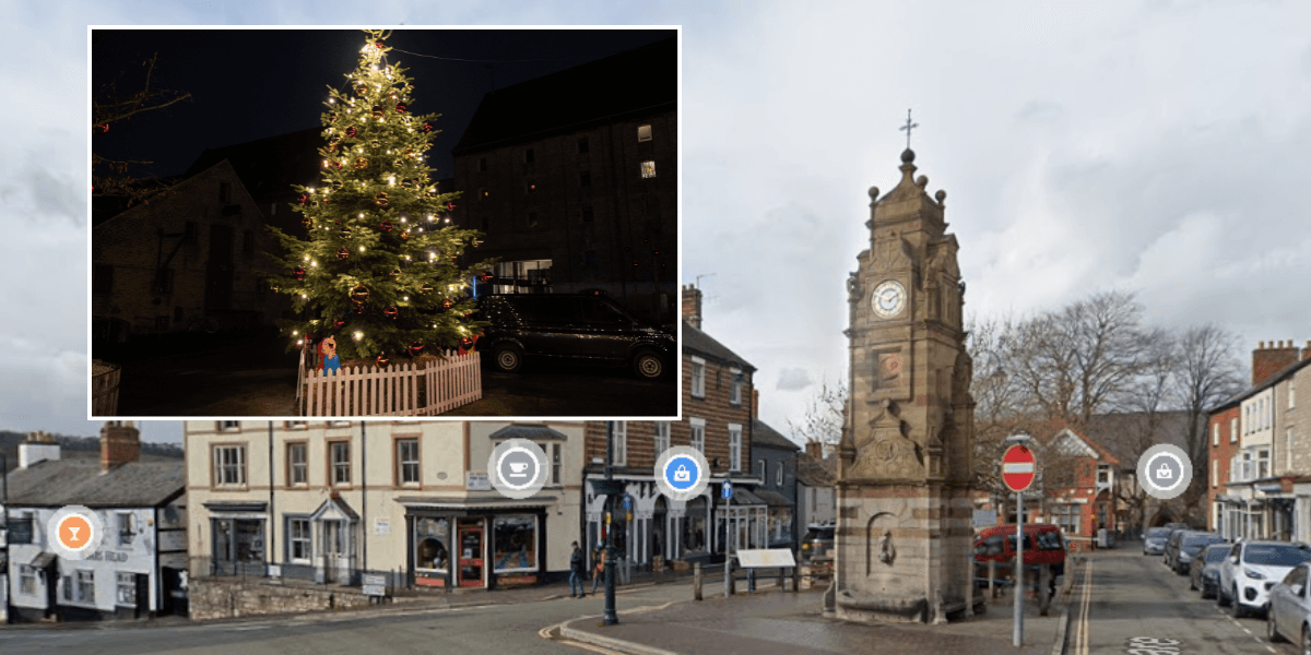 ‘Idiot’ Christmas tree climber ‘admits guilt’ after branches left broken and lights torn down ‘Idiot’ Christmas tree climber ‘admits guilt’ after branches left broken and lights torn down