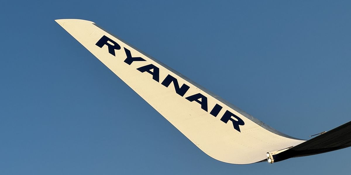 NextImg:Ryanair flight horror as plane tyres explode on landing