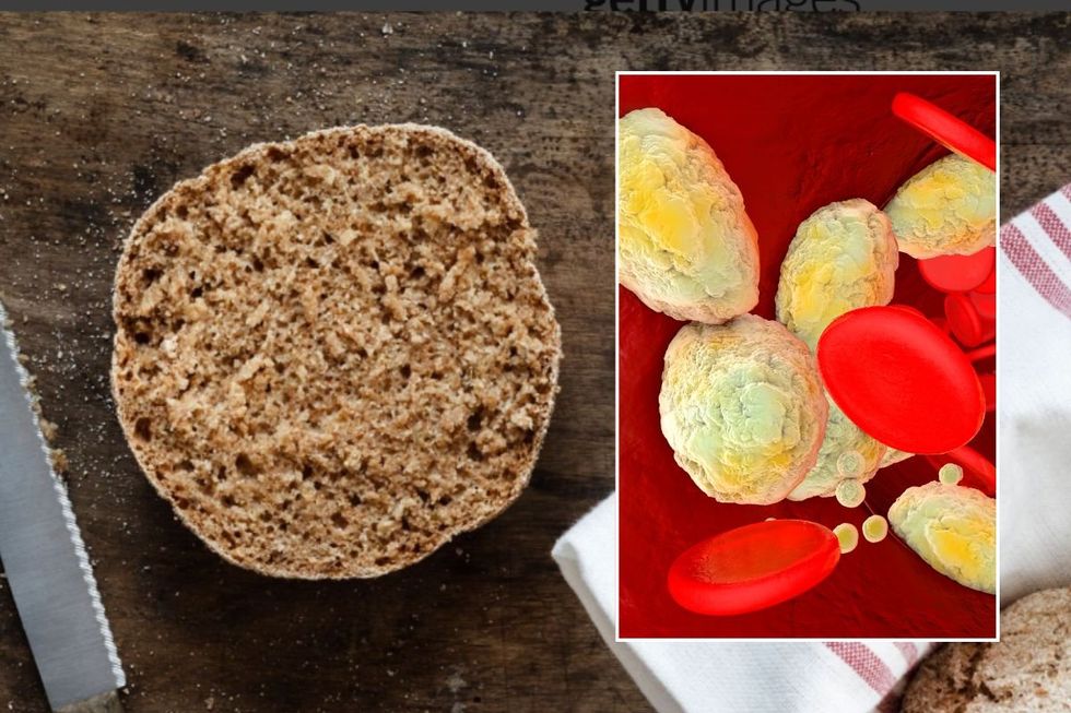 RYE BREAD AND CHOLESTEROL ILLUSTRATION