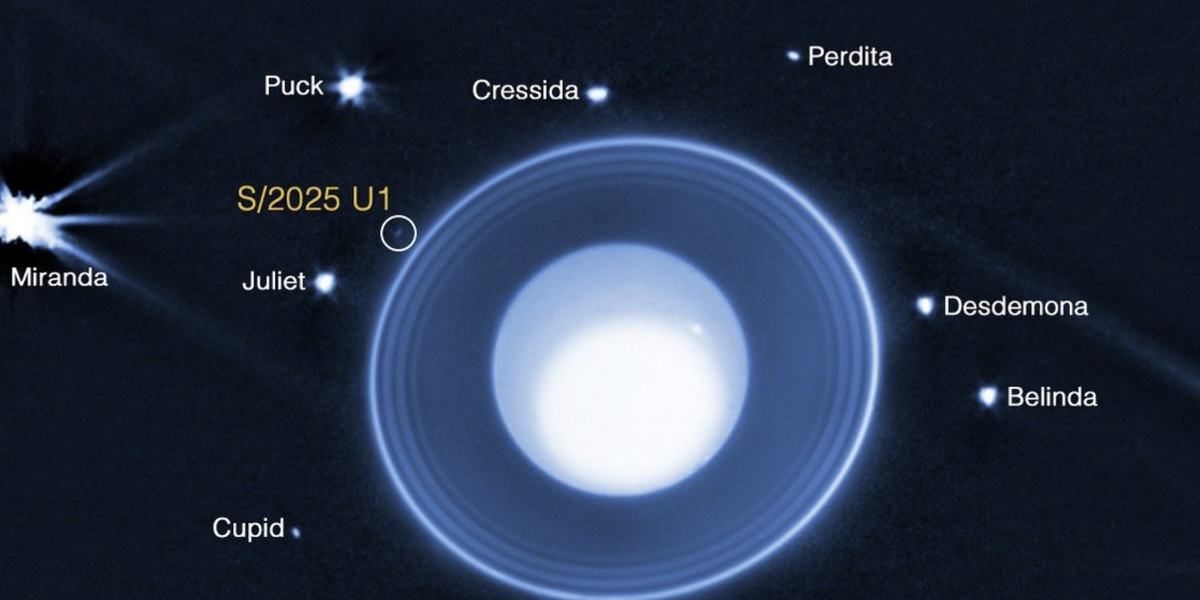 Astronomers make 'significant discovery' as they spot new moon orbiting Uranus