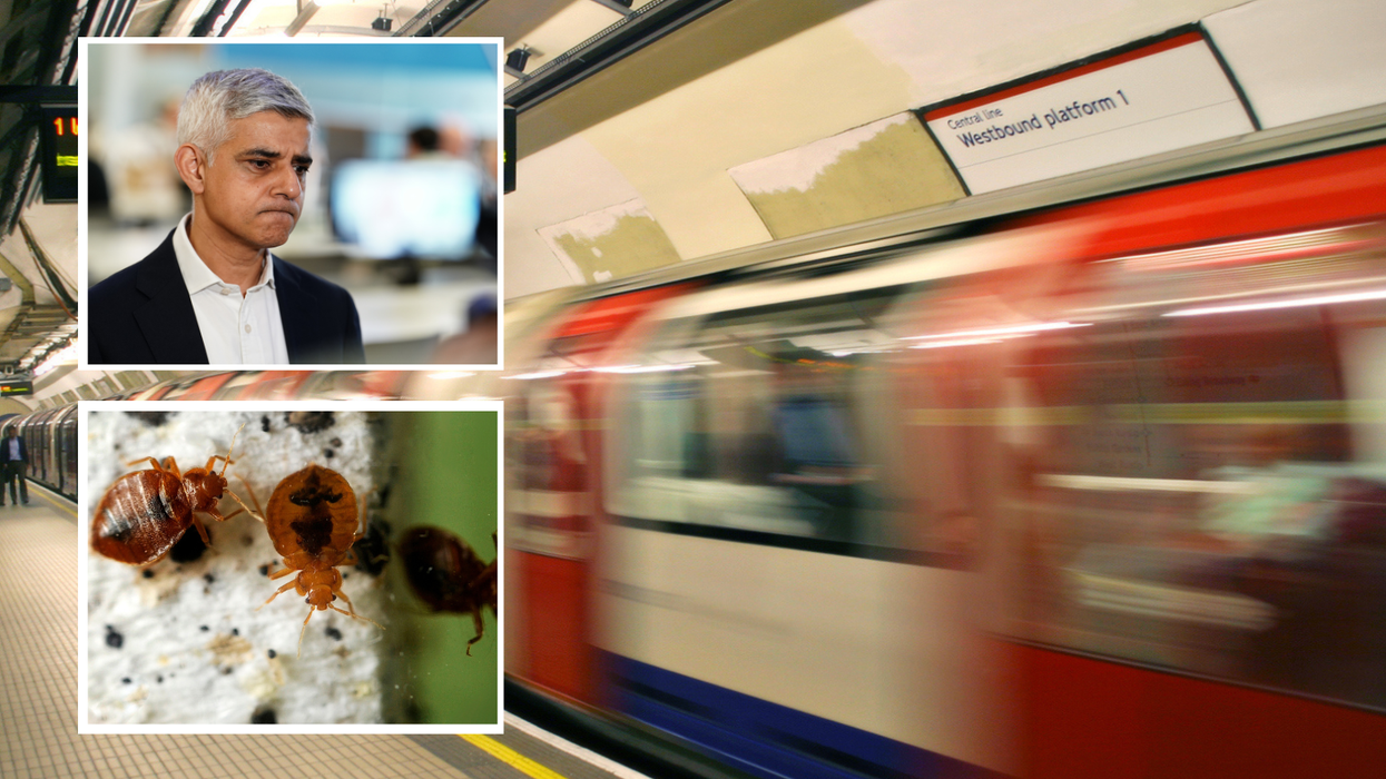Sadiq Khan, bedbugs and the Central Line