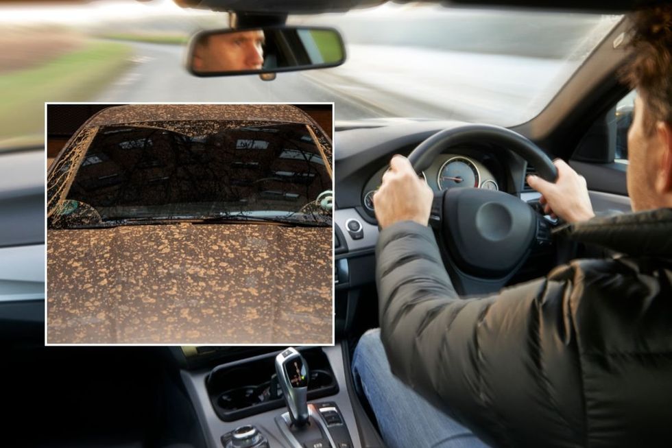 Saharan dust on a car and a man driving a vehicle