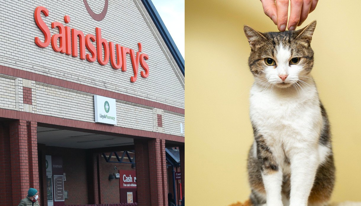 Sainsbury's are being taken to court after asking an autistic man to leave a store because of his cat