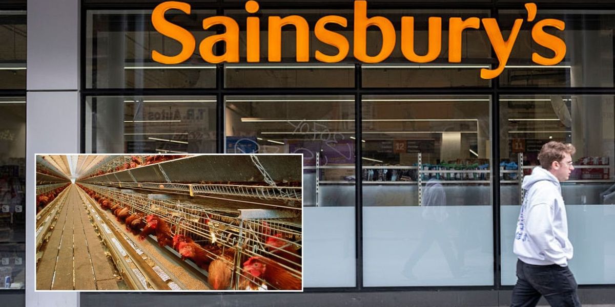 Sainsbury’s accused of ‘prioritising Net Zero over animal welfare’ days after brown egg row Sainsbury’s accused of ‘prioritising Net Zero over animal welfare’ days after brown egg row