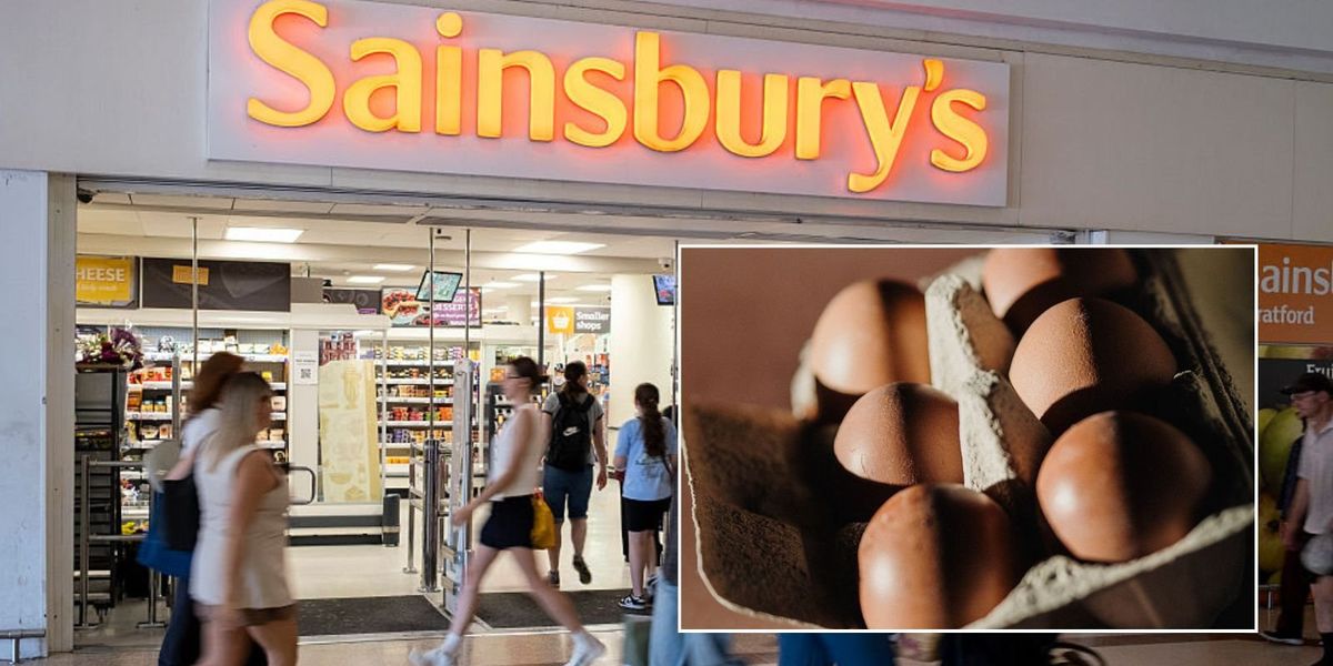 Sainsbury’s scraps brown eggs as supermarket doubles down on Net Zero: ‘Better for environment!’ Sainsbury’s scraps brown eggs as supermarket doubles down on Net Zero: ‘Better for environment!’