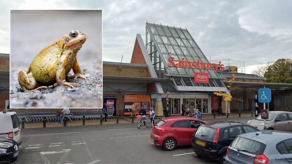 Sainsburys Sittingbourne