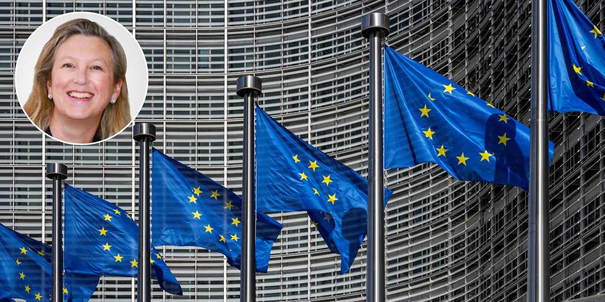 NextImg:'In the EU's rush to appease progressive ideologies the safety of women and children is dangerously compromised' - Sally-Ann Hart