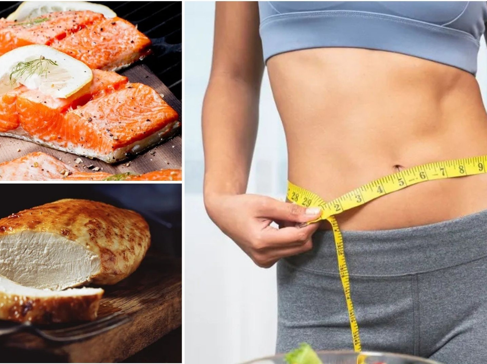 Salmon/Turkey/Slimmer