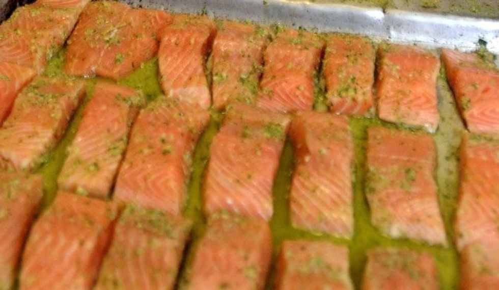 Salmon