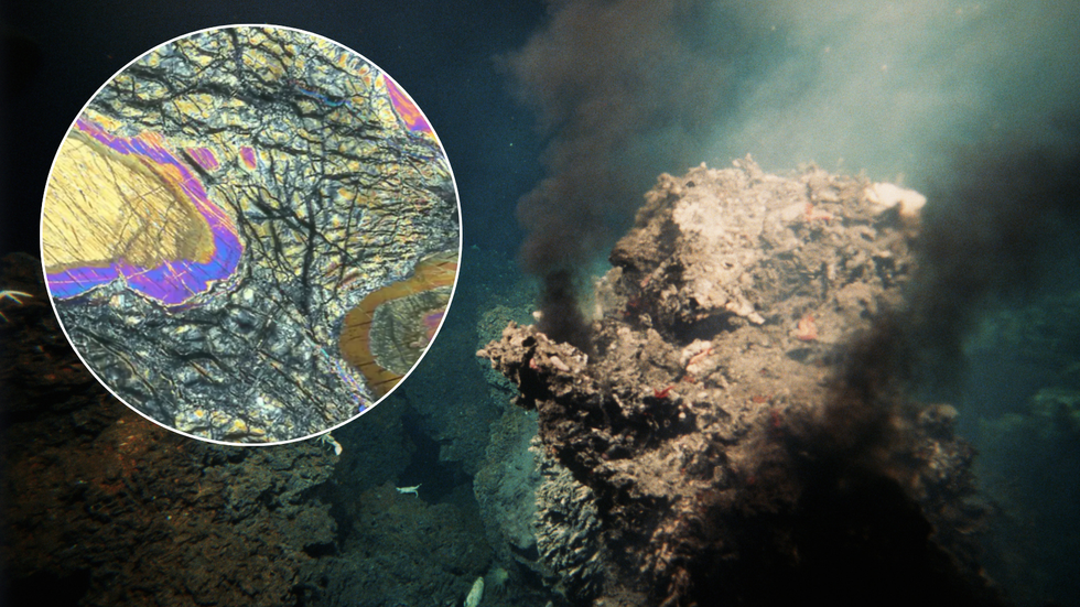 ‘Misplaced town’ hidden within the Atlantic is helping researchers in fixing thriller after main medical step forward