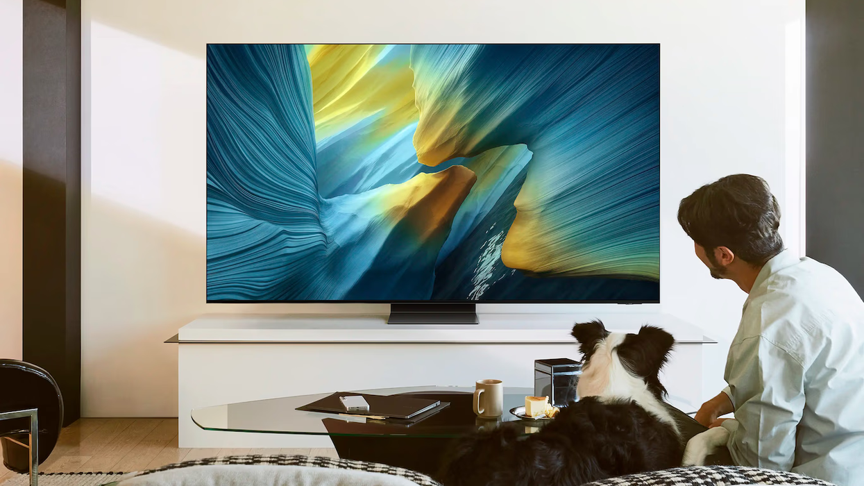 Samsung OLED S95F model