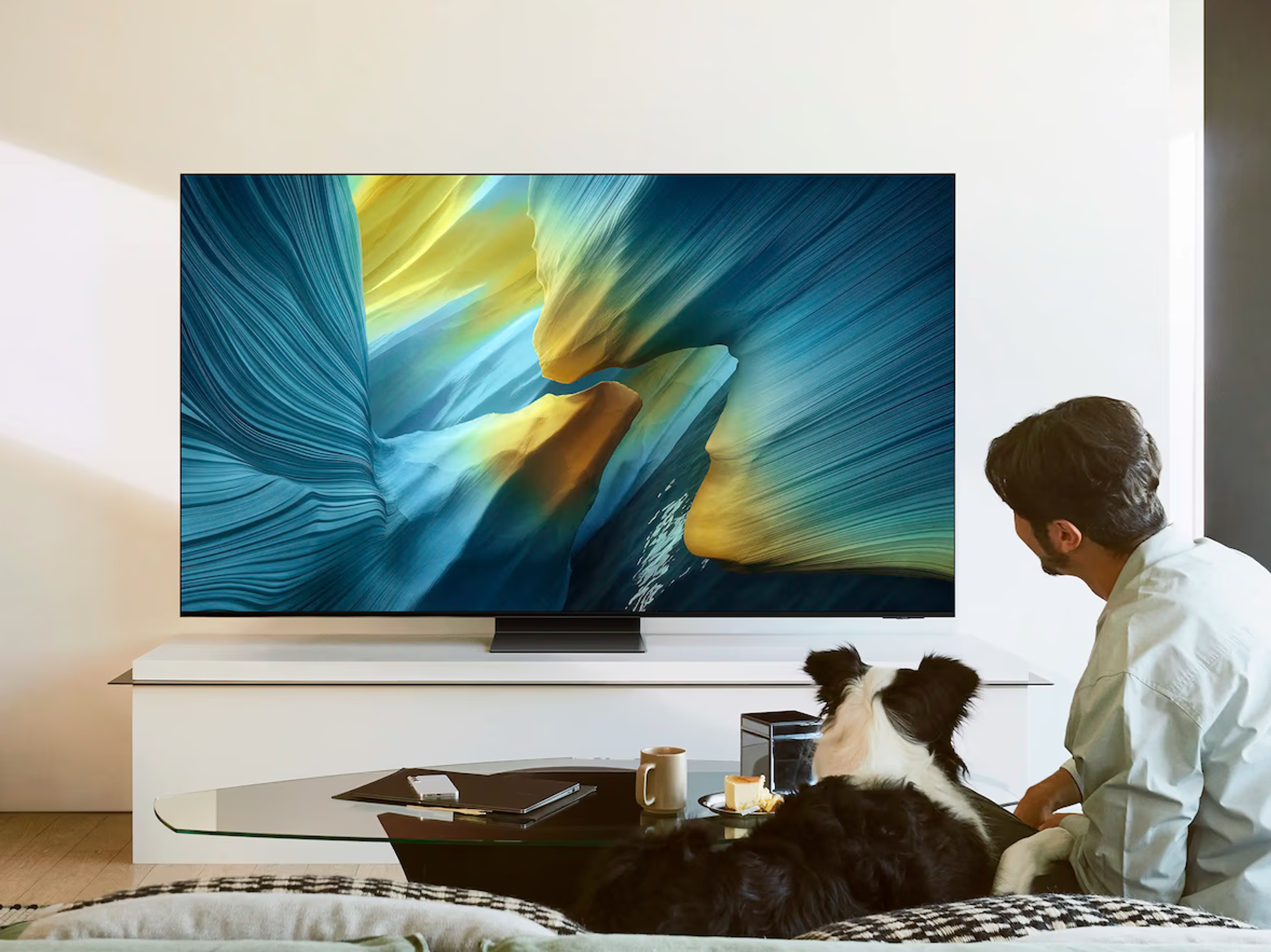 Samsung OLED S95F model