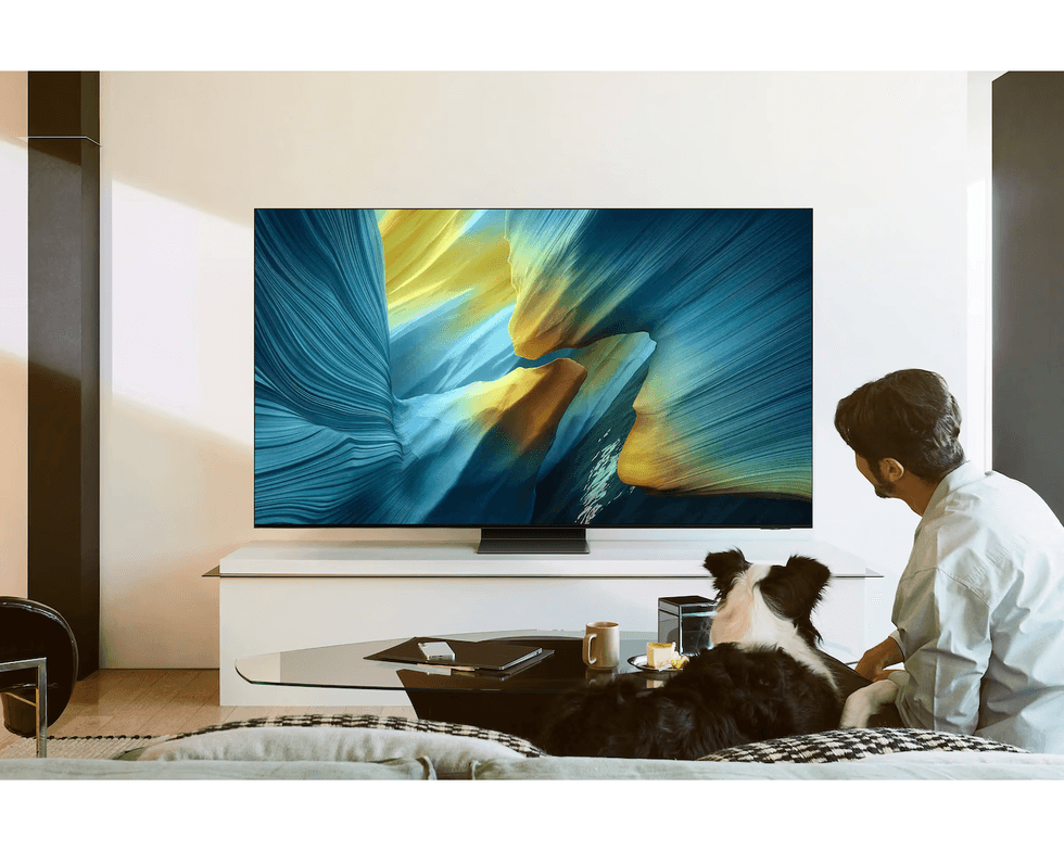 Samsung OLED S95F model