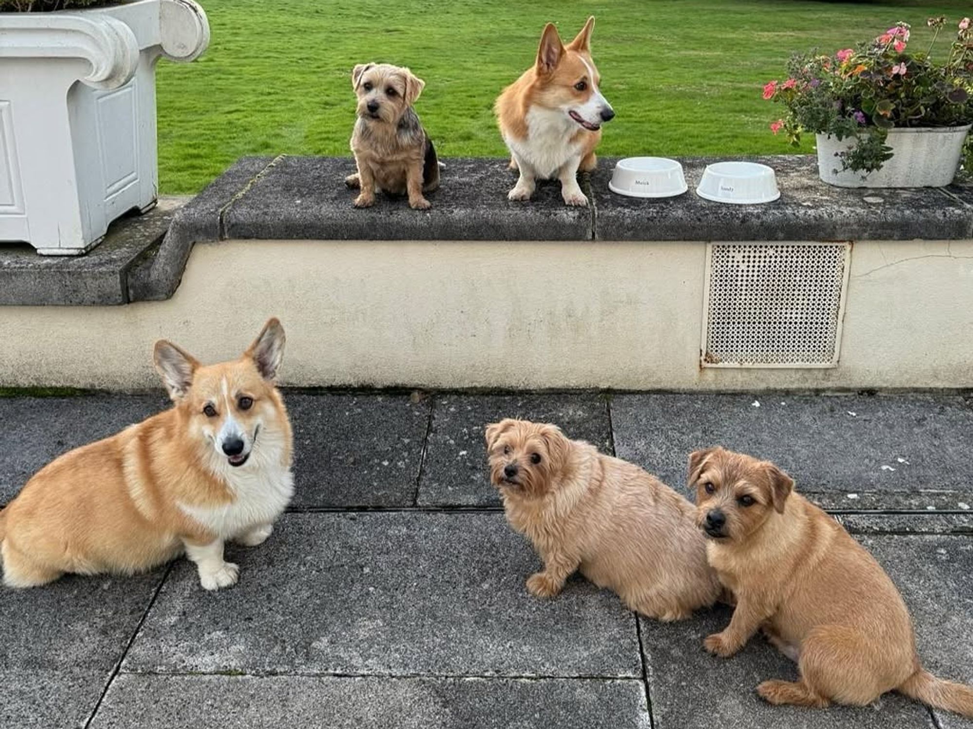 Sarah Ferguson, Sandy and Muick