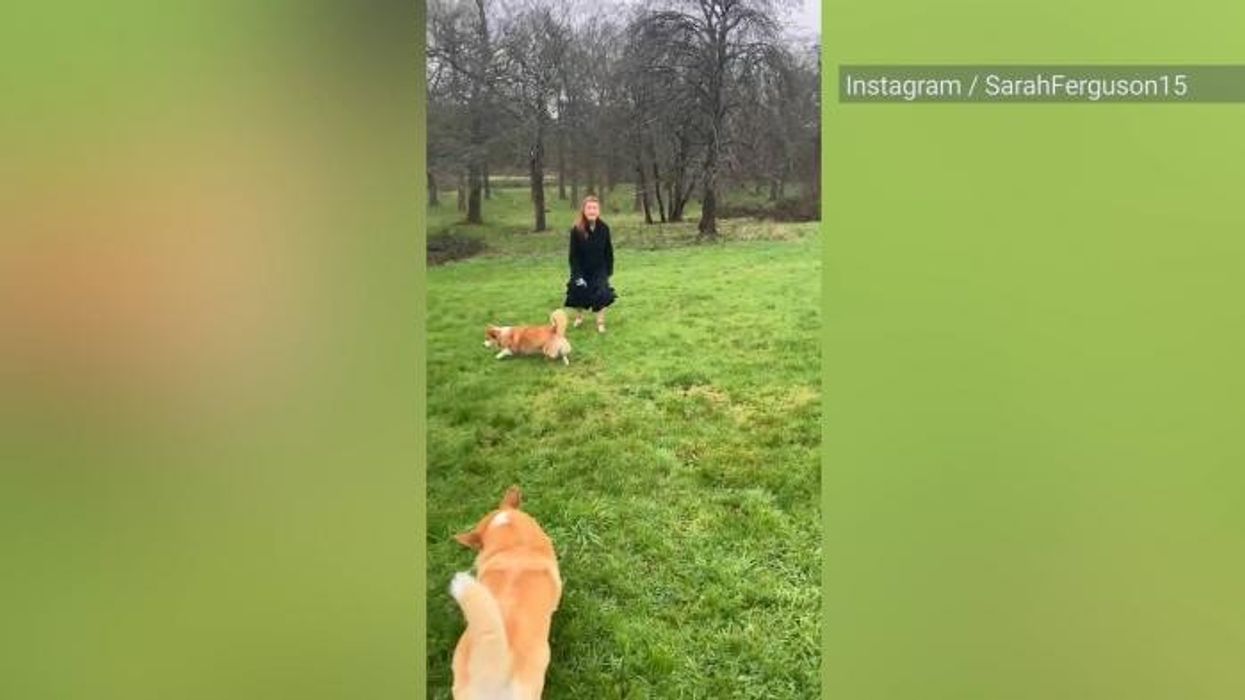 Sarah Ferguson marks special occasion with photo of rarely seen royal family members