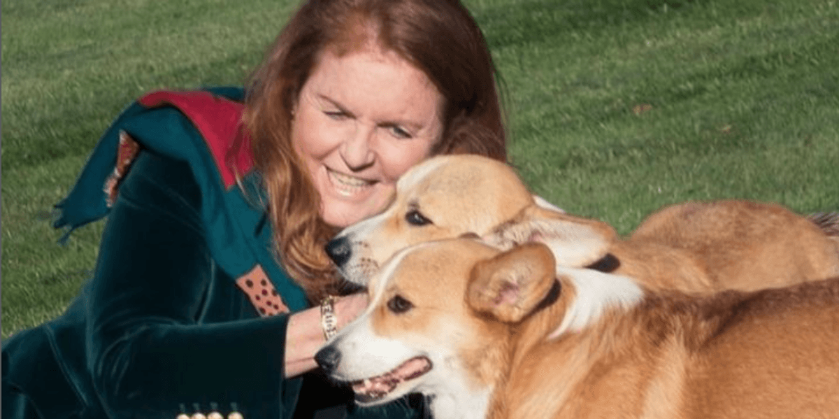 Sarah Ferguson ‘discussed’ cloning Queen Elizabeth II’s corgis for reality TV show Sarah Ferguson ‘discussed’ cloning Queen Elizabeth II’s corgis for reality TV show
