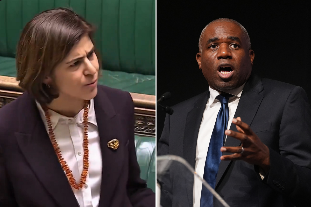 Sarah Sackman; David Lammy