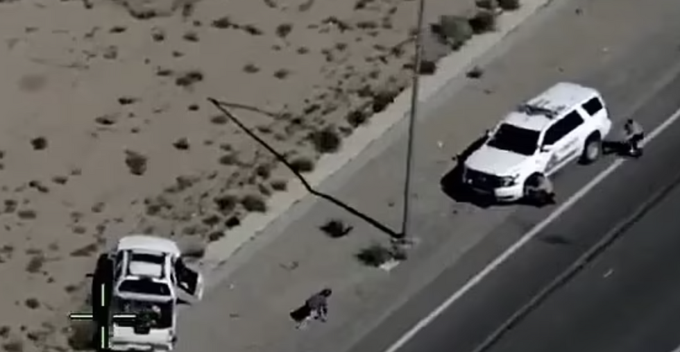 Savannah crawling towards a police car