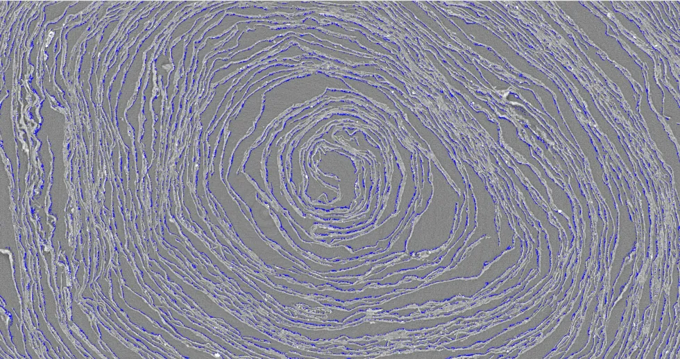 Scan of scroll
