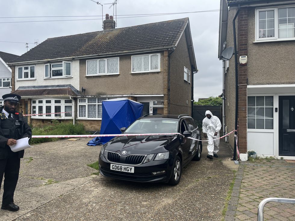 Scene of XL Bully killing
