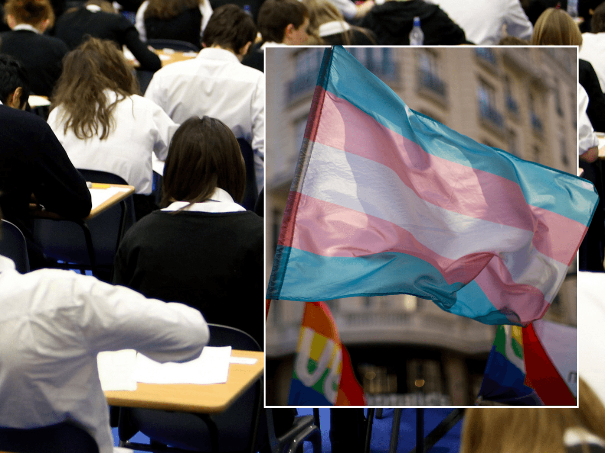 School exams; Trans flag
