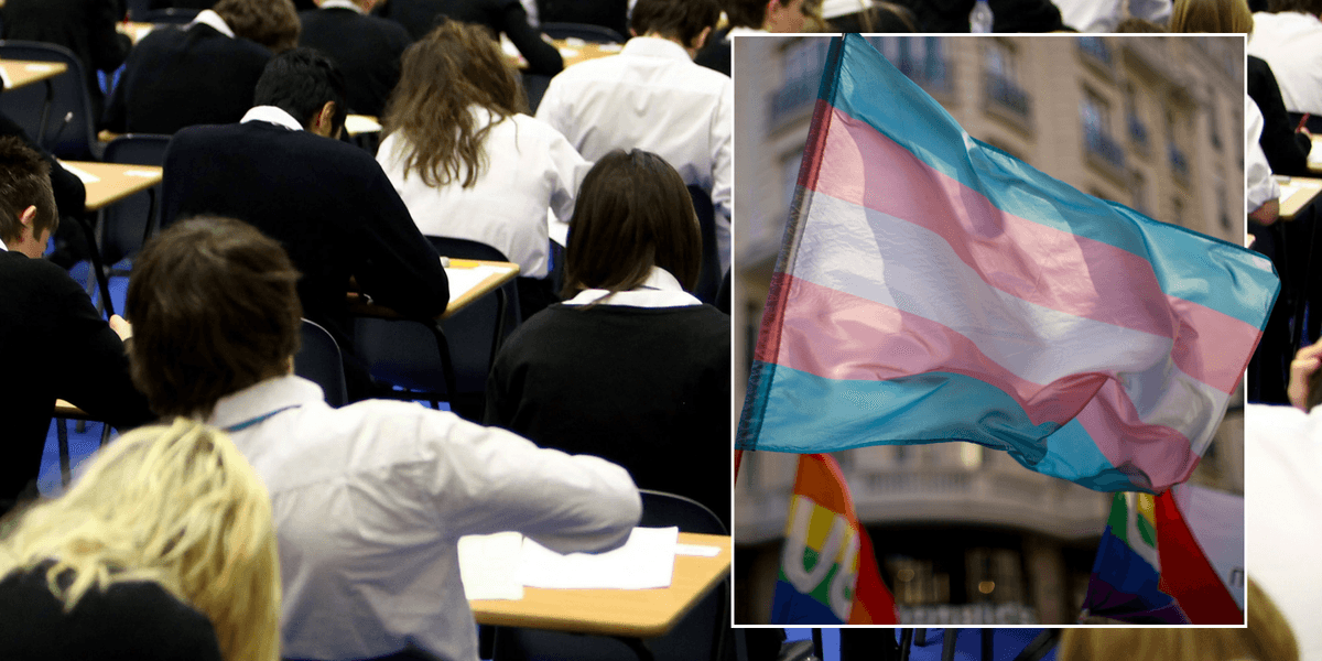 Woke madness: British exam board allows GCSE French students to use gender-neutral language despite terms not being used in France thumbnail