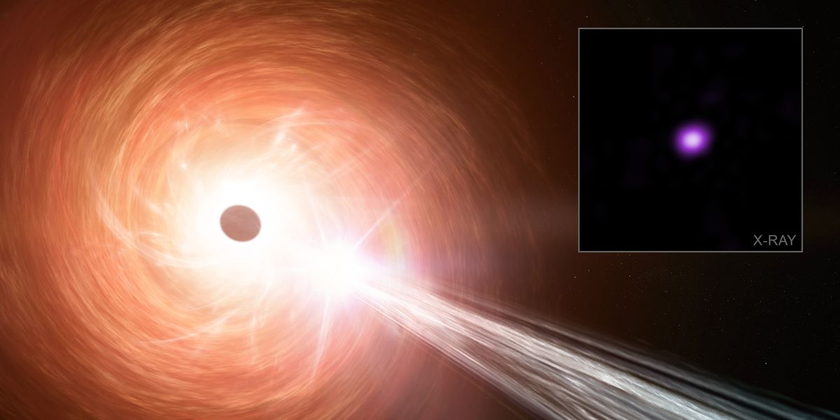 NextImg:Science breakthrough as experts discover huge black hole growing 2.4 times faster than theoretical limit