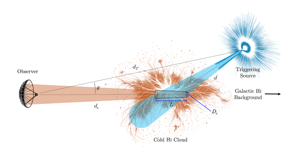 Scientific image