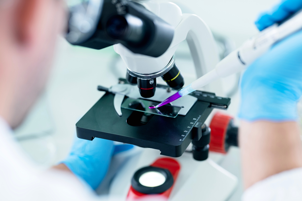 Scientist examining cells