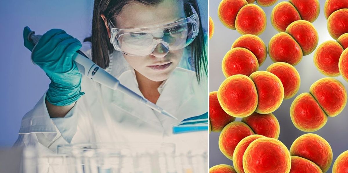 NextImg:AI-generated antibiotics have 'enormous potential' to combat superbugs if rolled out