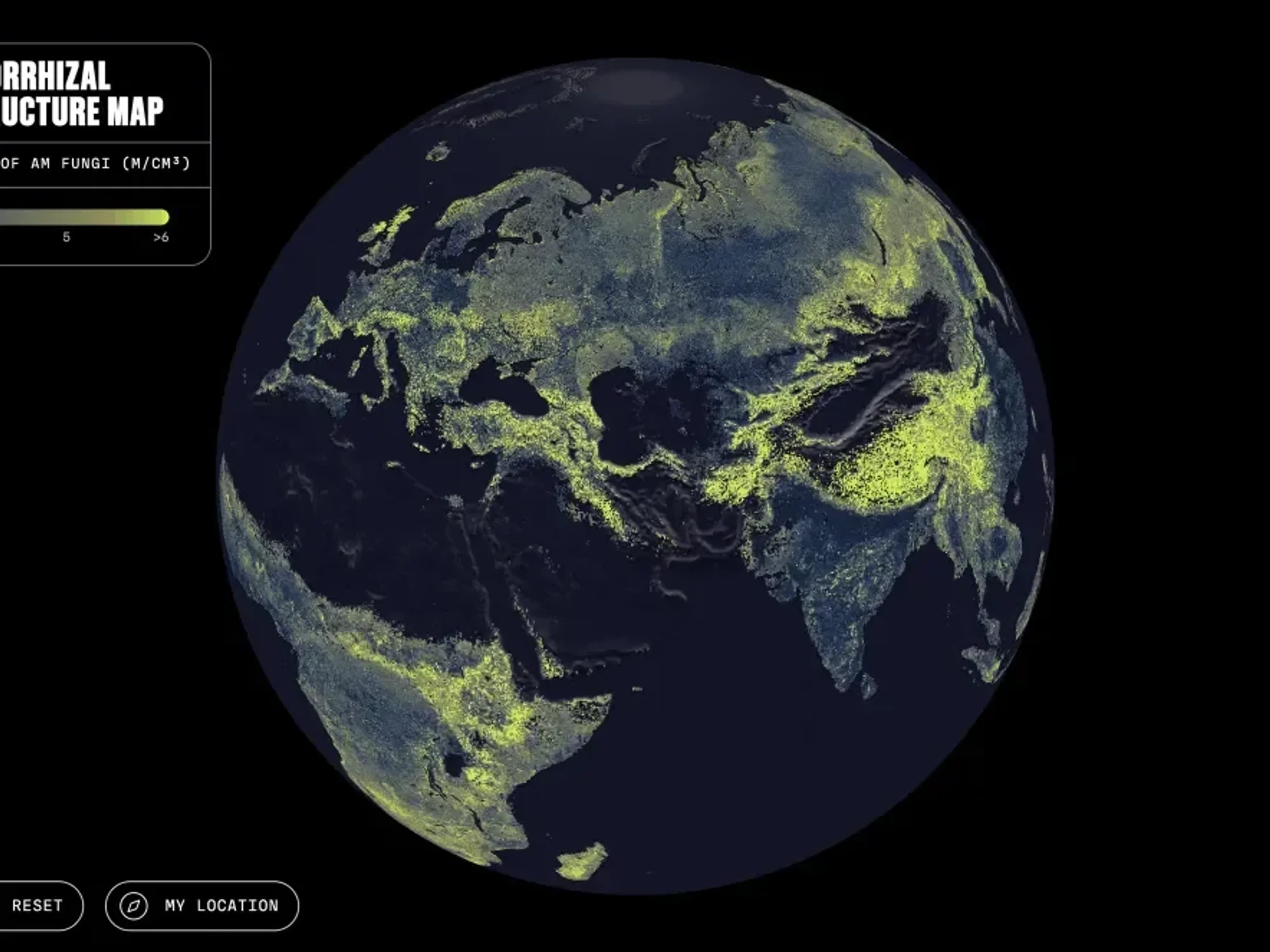 Scientists uncover fungus network 700 million times distance between Earth and Sun
