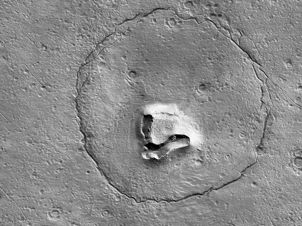 Scientists have shared a surprising image which was found on Mars