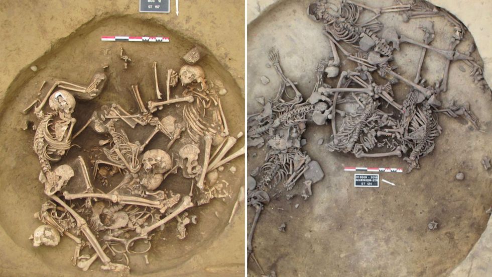 Scientists identified a hierarchical system within these violent ceremonies
