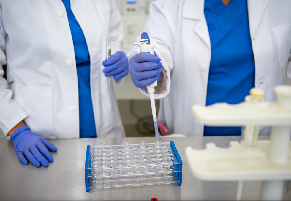 Scientists studying samples