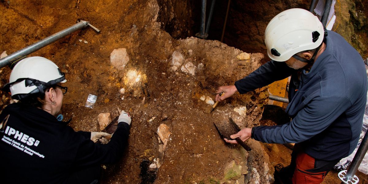 NextImg:Archaeology breakthrough as new species of early human discovered dating back from over one million years ago