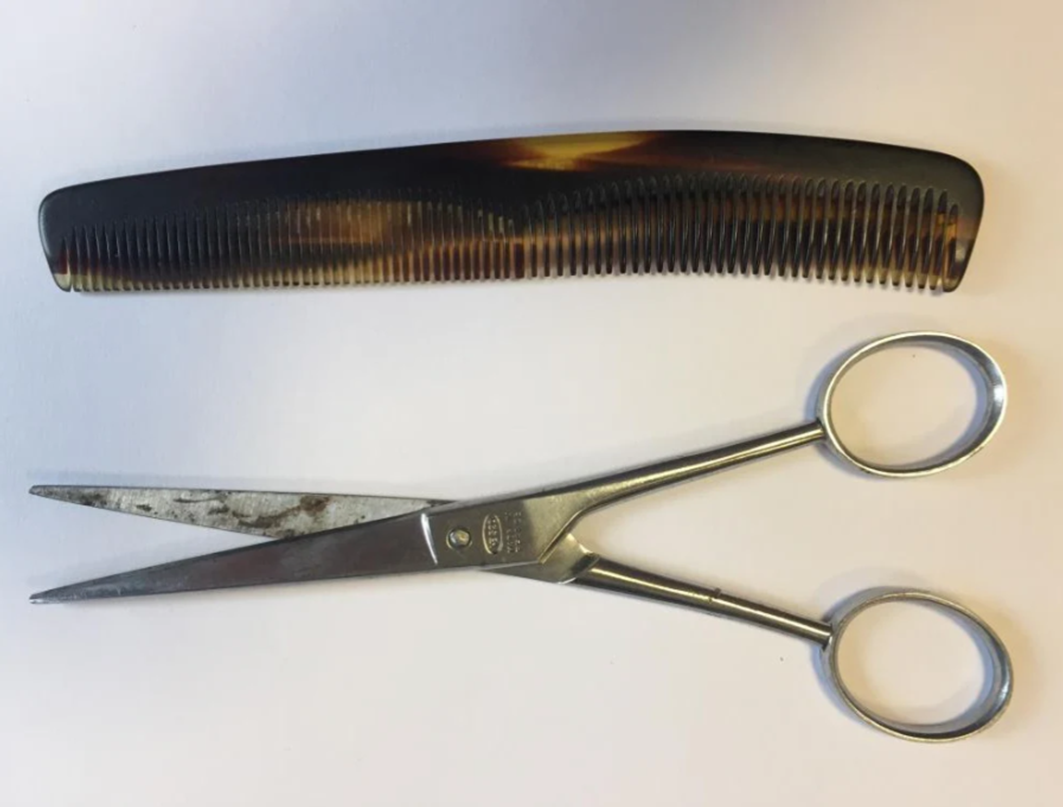 Scissors and comb