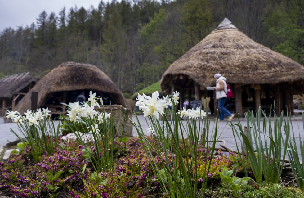 Scottish Crannog Centre's Iron Age village