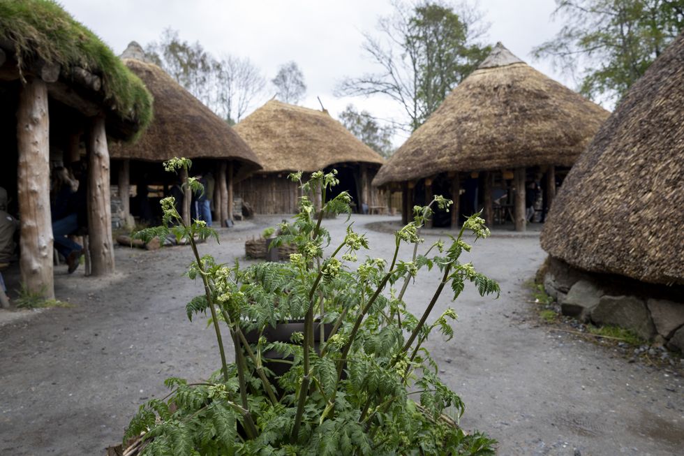 Scottish Crannog Centre's Iron Age village
